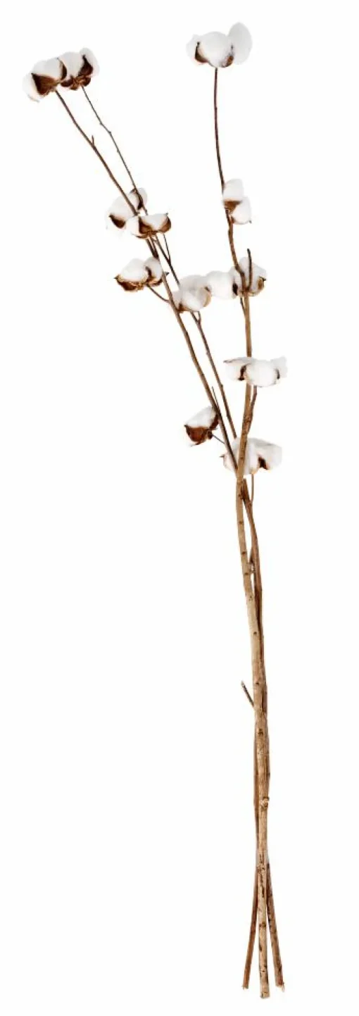 ADDO Vase Crème^CASA Clearance