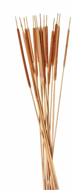 AFRIKA Vase Naturel^CASA Sale