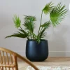 ARECA Palmier Vert^CASA Sale
