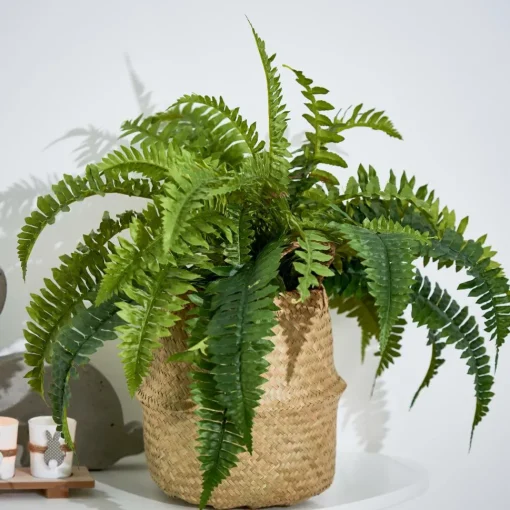 BRONZE Pot De Fleurs Bronze^CASA Best