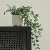 CALATHEA Plante Suspendue Gris, Vert, Mauve^CASA Sale