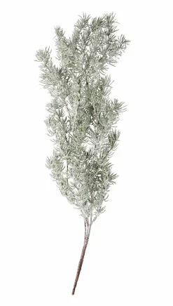 CEDER Branche Décorative Vert^CASA