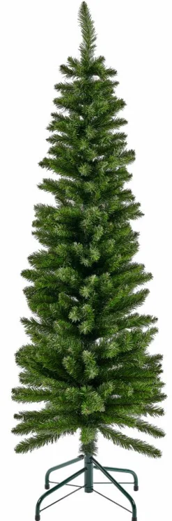 CEDER Branche Décorative Vert^CASA