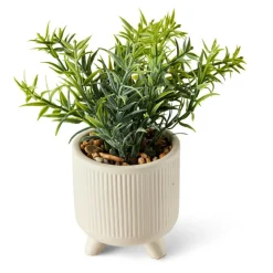 CERA Plante Artificielle Diverses Couleurs^CASA