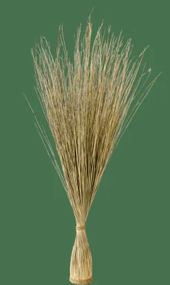 COGON Botte D'herbe Naturel^CASA Outlet