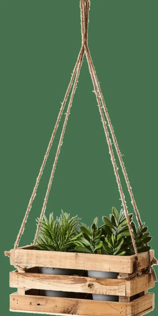 CRATE Caisse Naturel^CASA Best
