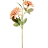 DAHLIA Tige De Fleurs Pêche^CASA Discount
