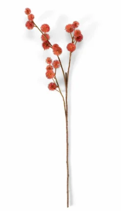 DANDIL Tige Jaune^CASA Online