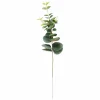 EUCALYPTUS Couronne Vert^CASA Outlet