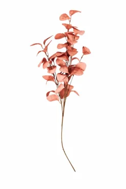 EVA Eucalyptus Vert^CASA Outlet