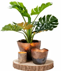 FINA Bougies Set De 6 Vert^CASA Discount