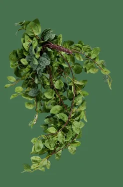 FITTONIA Guirlande Feuilles Vert^CASA Hot