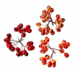 FOAM Branches D'églantier Rouge^CASA Hot