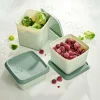 FREEZER Boîtes Congélation Set De 10 Menthe, Vert Foncé^CASA Online