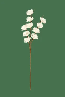 FROST Mélèze Blanc^CASA Online