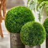 GRASS Boule De Pelouse Vert^CASA Online
