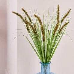 GRASS Hampe De Roseau Vert^CASA