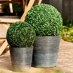 GREEN Boule Buis Vert^CASA Outlet