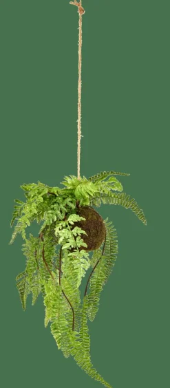 GREENERY Pot à Suspendre Avec Fougère Vert^CASA Sale