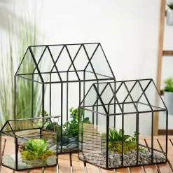 GREENHOUSE Serre Transparent^CASA New