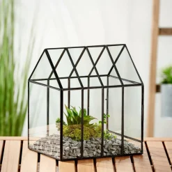 GREENHOUSE Terrarium Transparent^CASA New