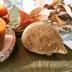 HEDGEHOG Doré^CASA Outlet