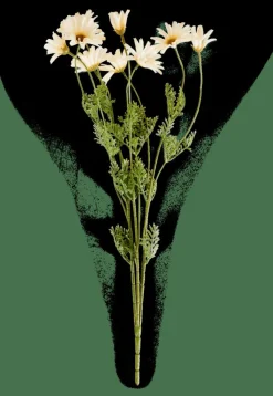 INDI Tige De Fleurs Crème^CASA New