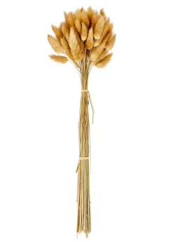 JULIA Vase Brun^CASA Best