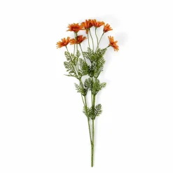 KENDI Vase Orange^CASA Sale