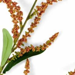 KENDI Vase Orange^CASA Sale