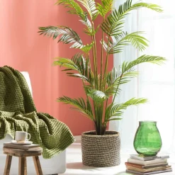 KWAI Palmier Vert^CASA