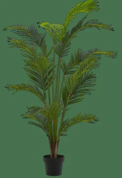 KWAI Palmier Vert^CASA