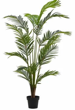 KWAI Palmier Vert^CASA Sale