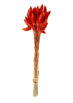 LAGURUS Lagure Ovale Naturel^CASA Online