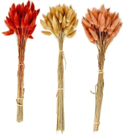 LAGURUS Lagure Ovale Rouge^CASA Discount