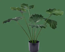 LOTUS Plante Vert^CASA Online