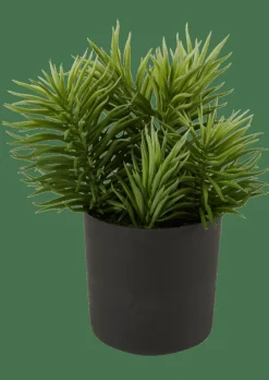 MOHAVE Diverses Couleurs^CASA Best