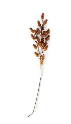 ODON Vase Brun^CASA Discount