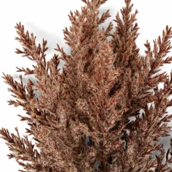 ODON Vase Brun^CASA Discount