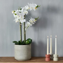 ORCHID Orchidée En Pot Blanc^CASA Discount
