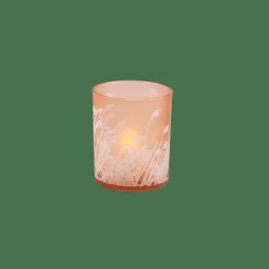 PAMPAS Partylight Orange^CASA Best