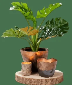 PAULO Plat Naturel^CASA Best