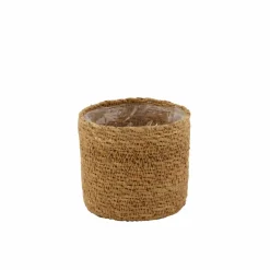 PHALARIS Herbe Décorative Cuivre^CASA Hot