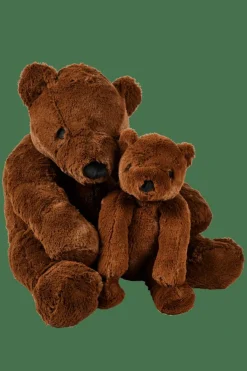 POLA Ours Brun^CASA New