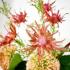 RUBY Plante Artificielle Rouge^CASA Hot