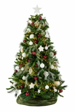 STAR Décoration Séchée^CASA