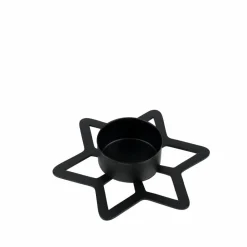 STAR Décoration Séchée^CASA