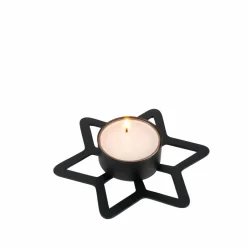 STAR Décoration Séchée^CASA