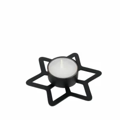 STAR Décoration Séchée^CASA