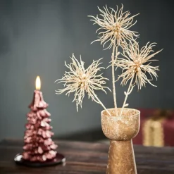 STAR Décoration Séchée^CASA